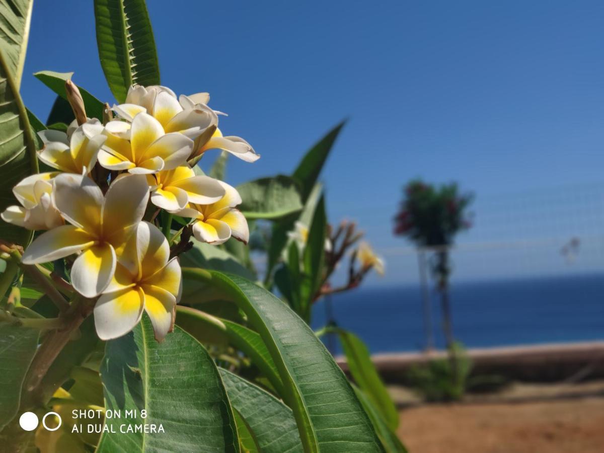 Ardani Paradise View Villa With Jacuzzi 아무피 외부 사진
